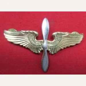 US WWII USAAF Air Cadet Hat Insignia, Sterling