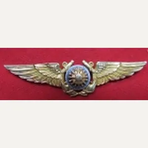 US Navy Navigator Wings, 10k GF on Sterling, Pinback, Hilborn-Hamburger