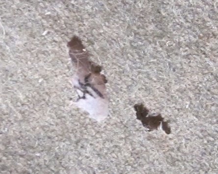 German WWII Heer Issue Winter (Ubermantel) Surcoat & Attached Hood, Leather Shoulder Reinforcement, Rabbit Fur Lining — image 12