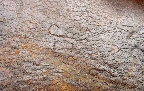 US WWI .45 Revolver Holster — image 4