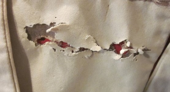 British WWI Era Kings Own Scottish Borderers Doublet, 1908, Named — image 13