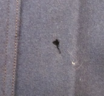 US 1902 Cavalry Enlisted Dress Uniform Set, Hat, Coat, Mounted Trousers, A Troop, 1st Cavalry — image 23