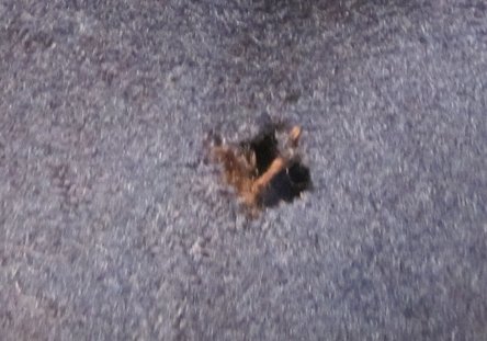 US 1902 Cavalry Enlisted Dress Uniform Set, Hat, Coat, Mounted Trousers, A Troop, 1st Cavalry — image 24