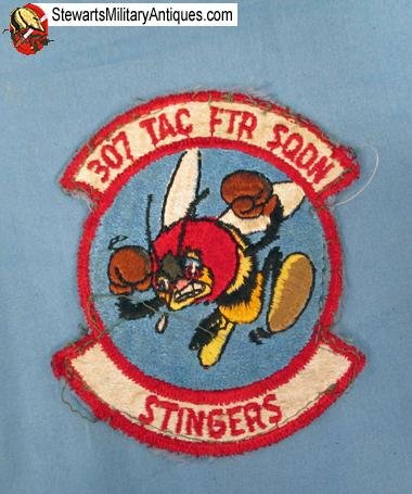  US Cold War Era USAF 307th Tactical Fighter Squadron Insignia — image 2