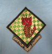US Vietnam War Era 3501st Pilot Training Squadron Patch