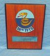 US Cold War Era USAF 311th TFTS Wall Plaque