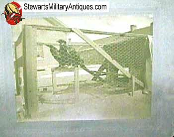  Ft Robison Large Bird Mascot — image 3