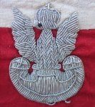 Polish Post WWII Veteran Wear, Home Guard Armband, Bullion Eagle
