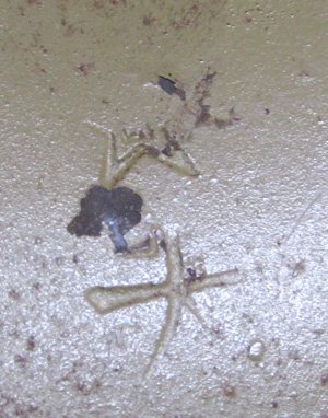 Japanese WWII Military Type 90 Steel Helmet Shell, Thai Reissue — image 5