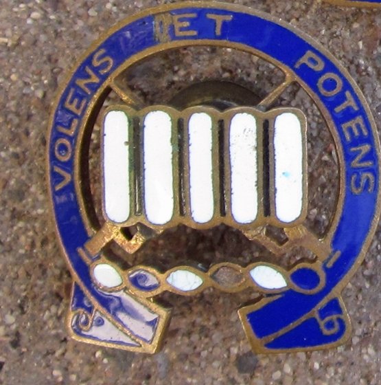 US WWII Era Distinctive Unit Insignia, Screwback, 7th Infantry Regiment, Lot of 3 — image 5