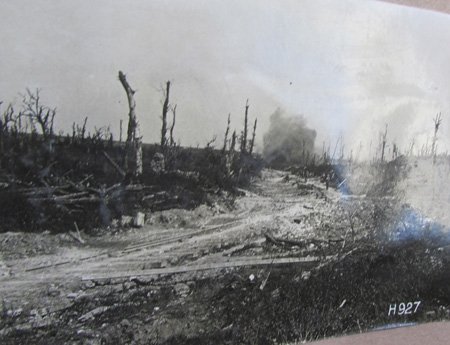 New Zealand WWI Photo Album, 25 Photos — image 11