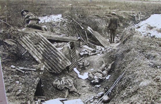 New Zealand WWI Photo Album, 25 Photos — image 14