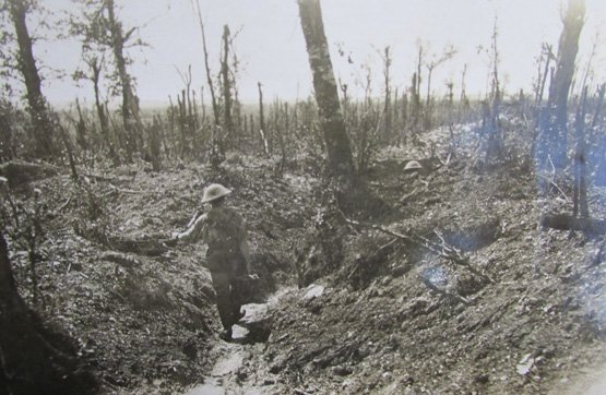 New Zealand WWI Photo Album, 25 Photos — image 15