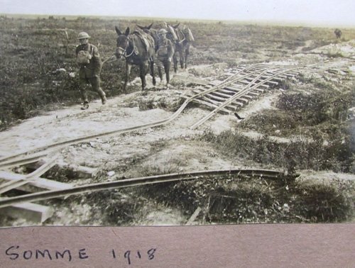 New Zealand WWI Photo Album, 25 Photos — image 24