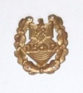 DSV Gold Marksmans Award