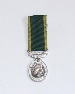 Territorial Efficiency Medal - Miniature