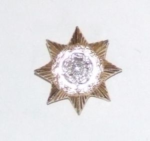 Yorkshire Regt Collar Dog