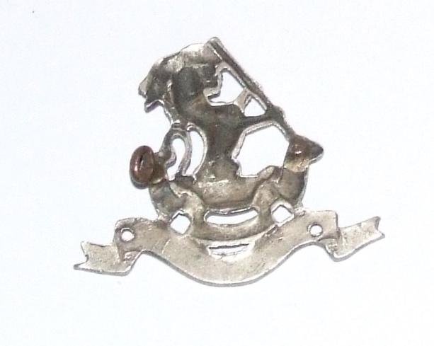 Duke of Wellingtons Regiment Cap Badge — image 2