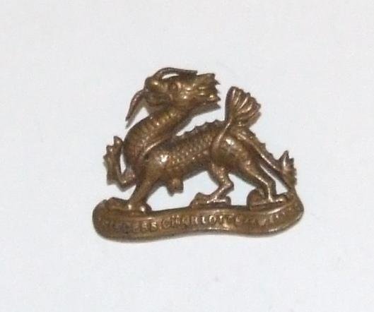 Royal Berkshire Collar Dog