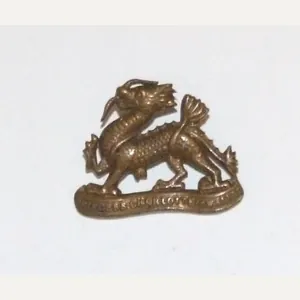 Royal Berkshire Collar Dog