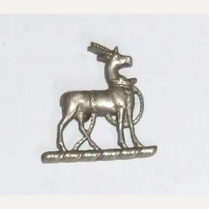 Royal Warwickshires Collar Dog