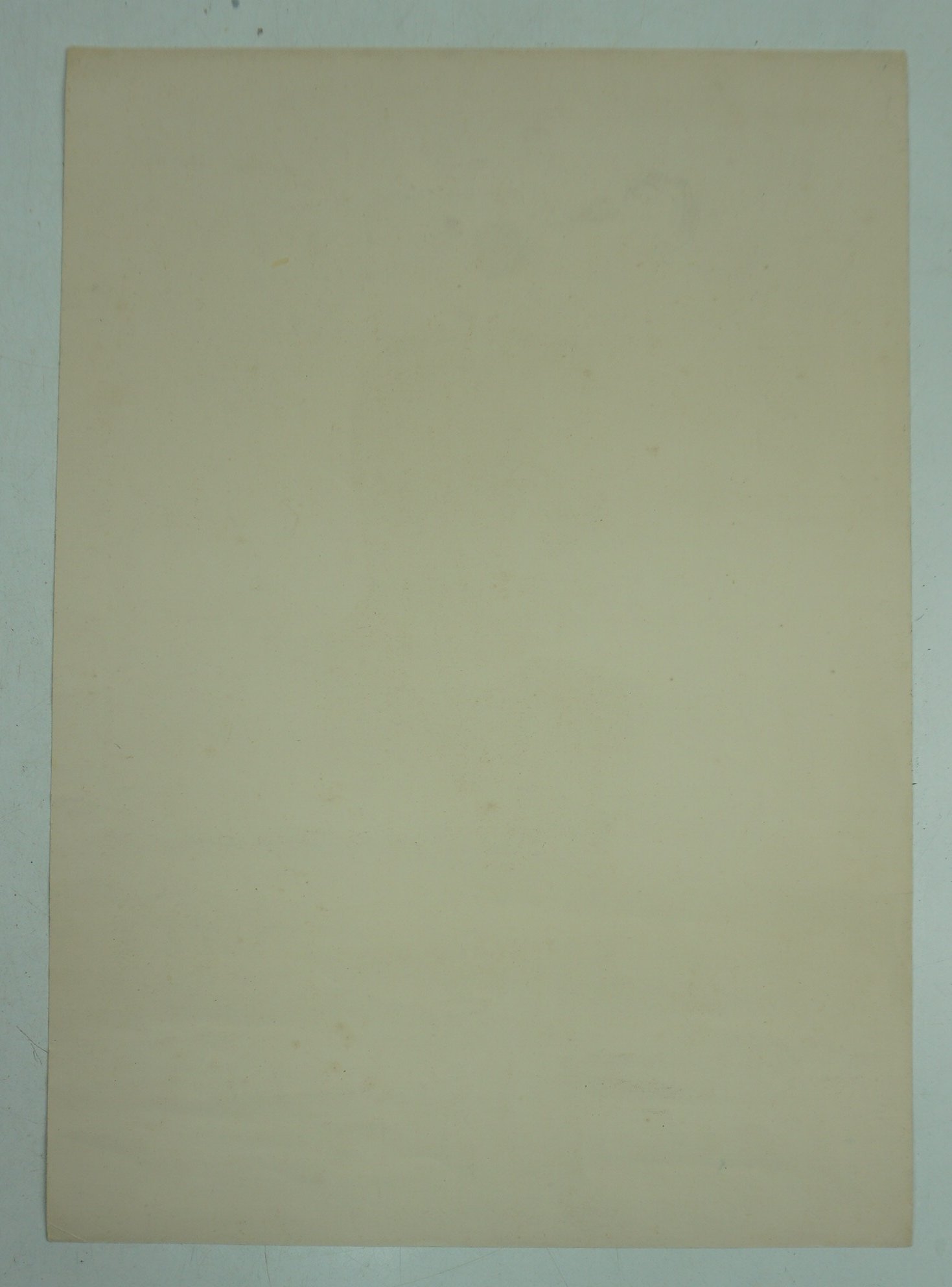 NSB Portrait ''Leader Anton Mussert'' It is date 1940 — image 4