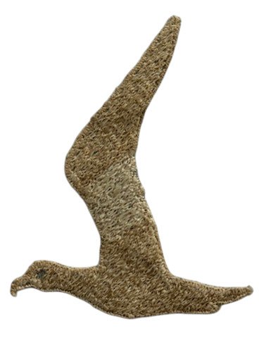 Nationale Jeugdstorm Stormmeeuw sports emblem — image 2