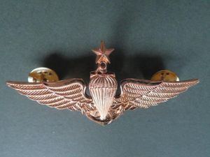 Ecuador Marines Senior Parachute Wings