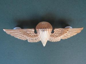 Honduras Army Basic Parachute Wings