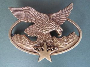 France Army 'Alpiniste et Skieur Militaire' Qualification Brevet