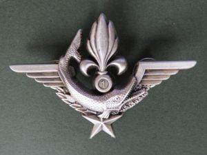 France Foreign Legion 1° Régiment Etranger de Génie Détachement des …