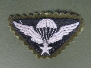 Iran Army 'Commando' Basic Parachute Wings