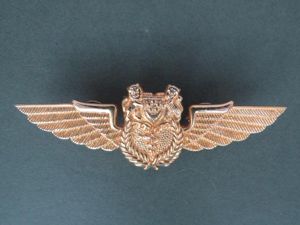 Singapore Air Force Flight Medical Officers Wings