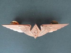 Brazil Air Force 'Supply Officer' Wings