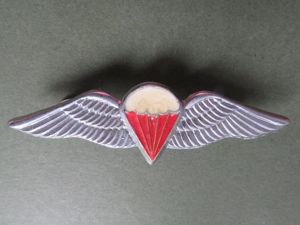 Republic of South Africa Free Fall Parachute Wings