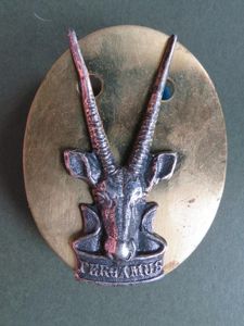 South West Africa Territory Force Headquarters Beret Badge