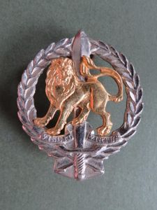 South Africa Army 'Regiment Hillcrast' Beret Badge
