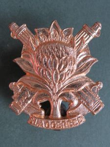 South Africa Army Regiment Langenhoven Beret Badge