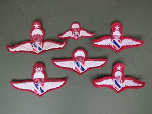 Thailand National Border Police Parachute Wings