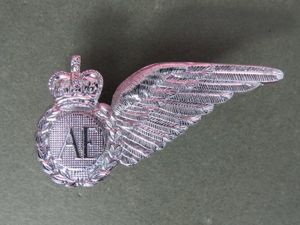 New Zealand Air Force 'Air Electronics' Wing