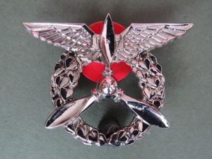 Czech Republic Air Force Ground Staff Aircraft Engineers Badge