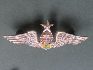 Venezuela Army Senior Parachute Wings