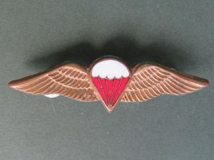 South Africa Free Fall Parachute Wings