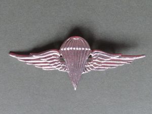 Egypt Army 4th Class Parachute Wings