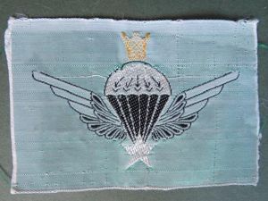 Iran Army Pre 1979 Shar Period Basic Parachute Wings
