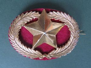 Qatar Army Warrant Officer Class 2 Rank Badge