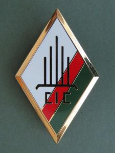 France Foreign Legion 2nd Foreign Infantry Regiment, 'C.I.C.' ( Commissioned, …