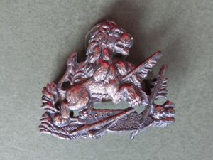 Rhodesia British South Africa Police Cadet / Women 1949-1971 Collar …