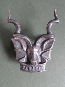 South West Africa Army 'Area Force' Cap Badge