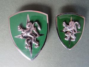 N.A.T.O. 'Central Army Group' (CENTAG) Pocket Crest & Collar Pin